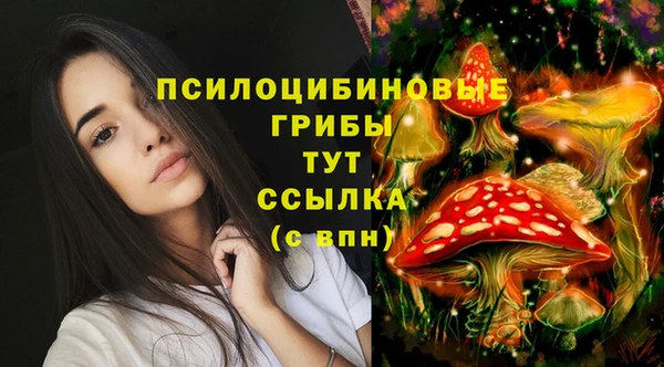 бутик Дмитровск