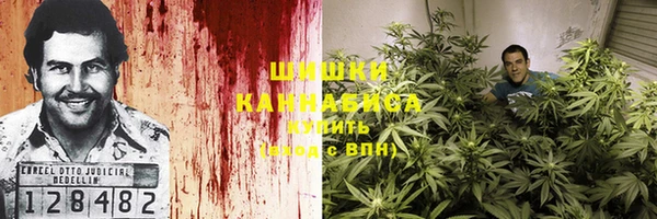прущие крисы Гусев