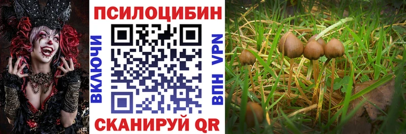 Псилоцибиновые грибы мицелий  Дятьково 